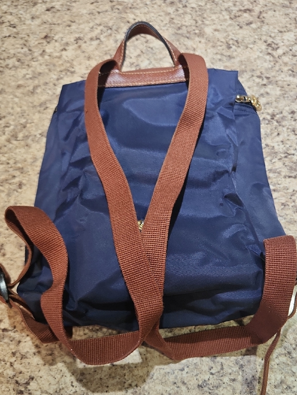 Longchamp Navy Backpack with Brown Leather Trim - Picture 2 of 5